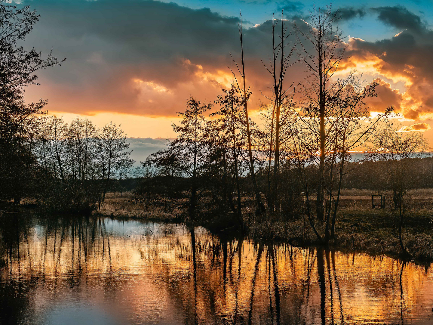 Gespiegelter Abendhimmel im Teich