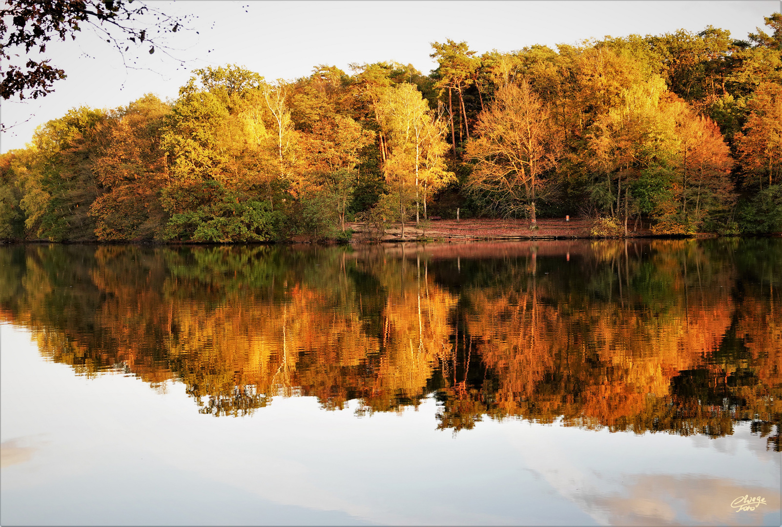 Gespiegelter goldener Herbst