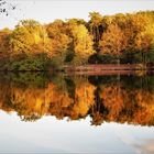 Gespiegelter goldener Herbst