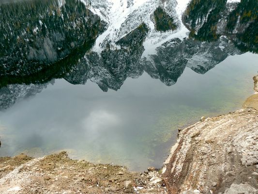 gespiegelter Gosaukamm