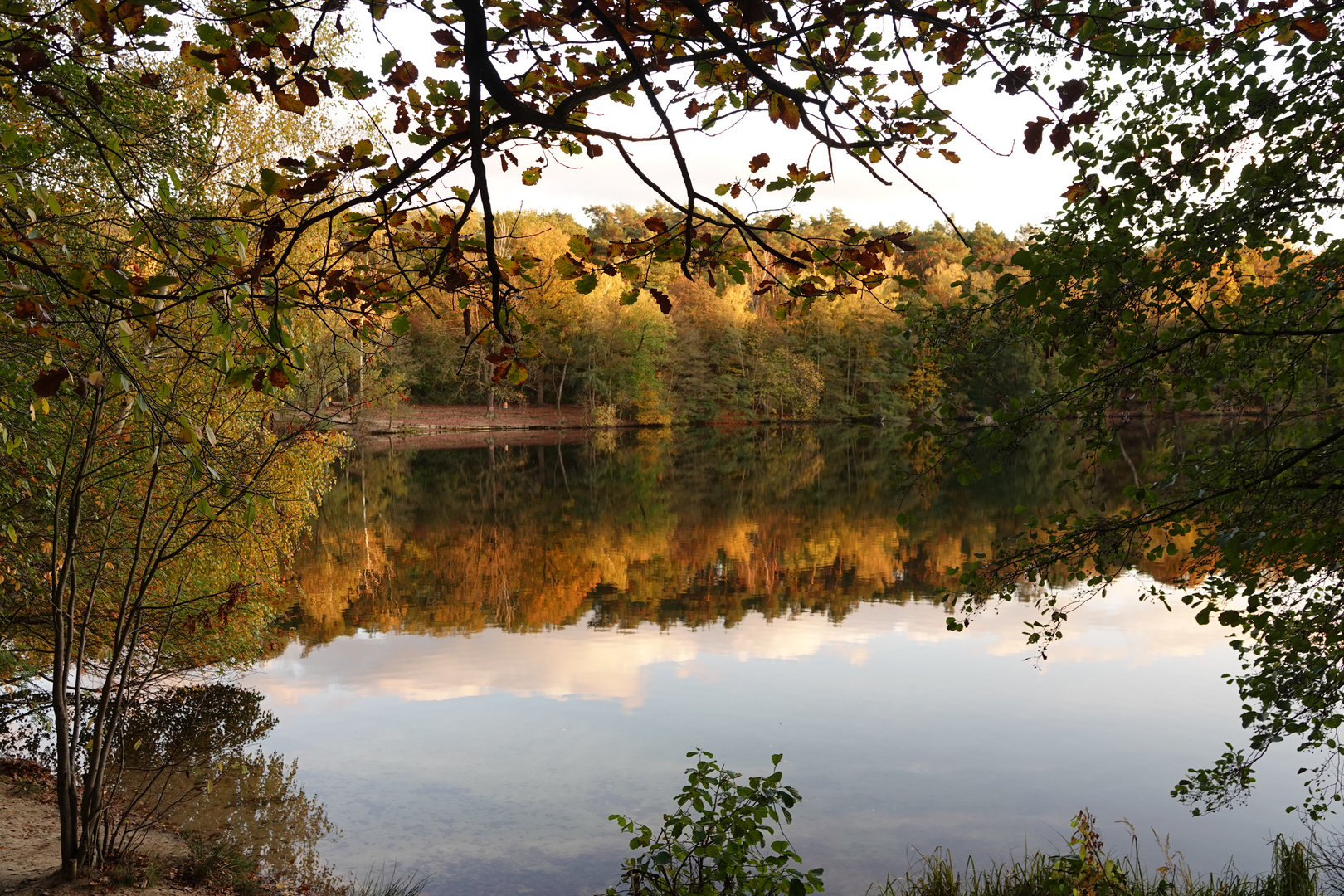 Gespiegelter Herbst 2