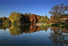 Gespiegelter Herbst