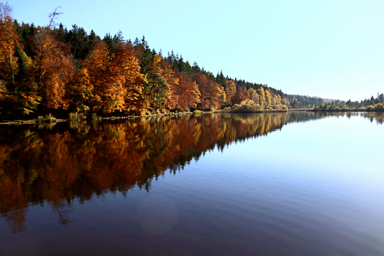 Gespiegelter Herbst