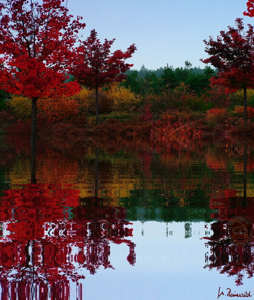 Gespiegelter Herbst