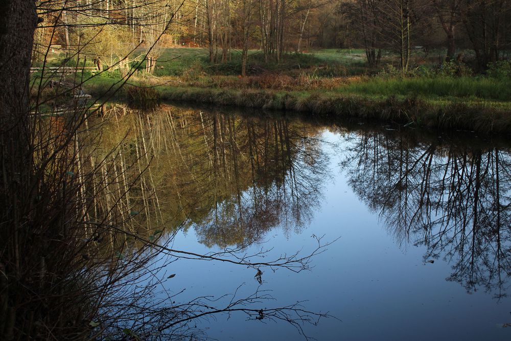 gespiegelter Herbst