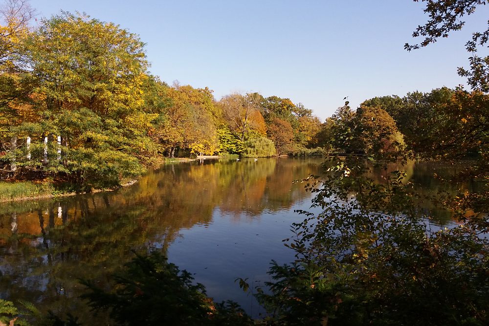 Gespiegelter Herbst am Carolasee