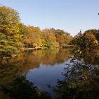 Gespiegelter Herbst am Carolasee