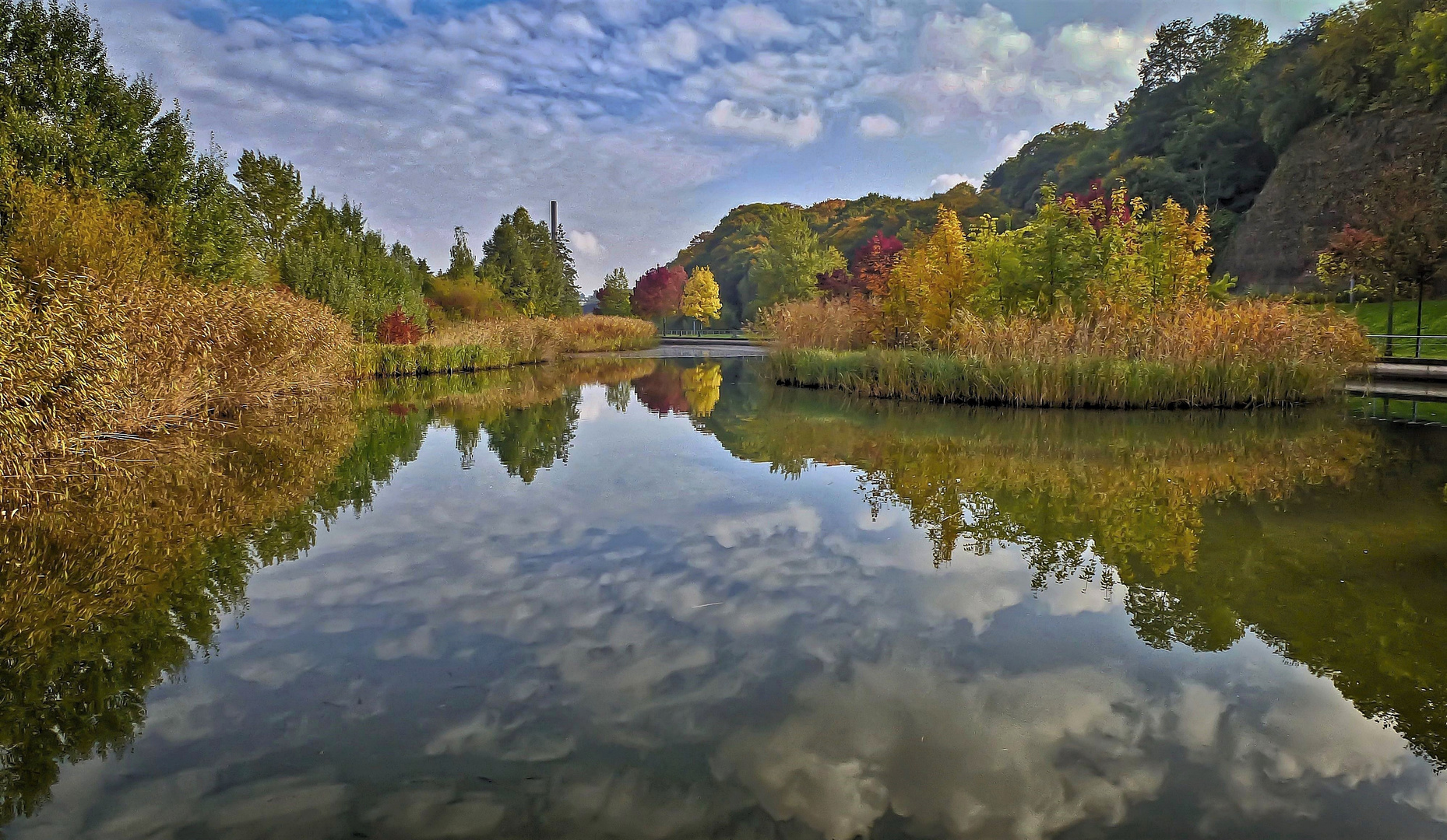 Gespiegelter Herbst