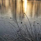 gespiegelter Sonnenaufgang am Weiher