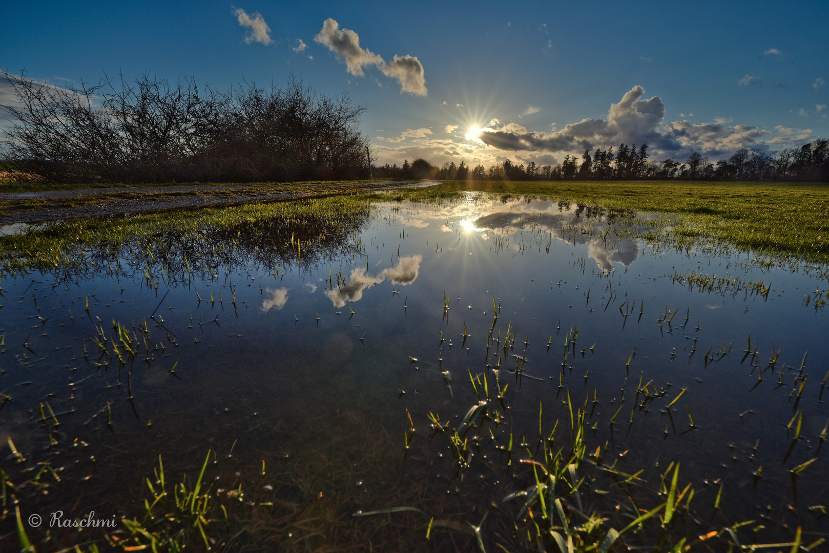 GESPIEGELTER SONNENUNTERGANG