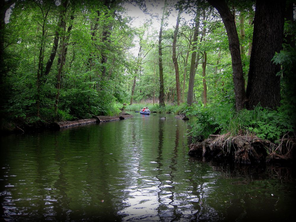 Gespiegelter Spreewald