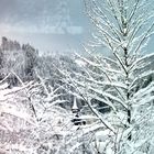 gespiegelter Wintereinbruch im Thüringer Bergdorf