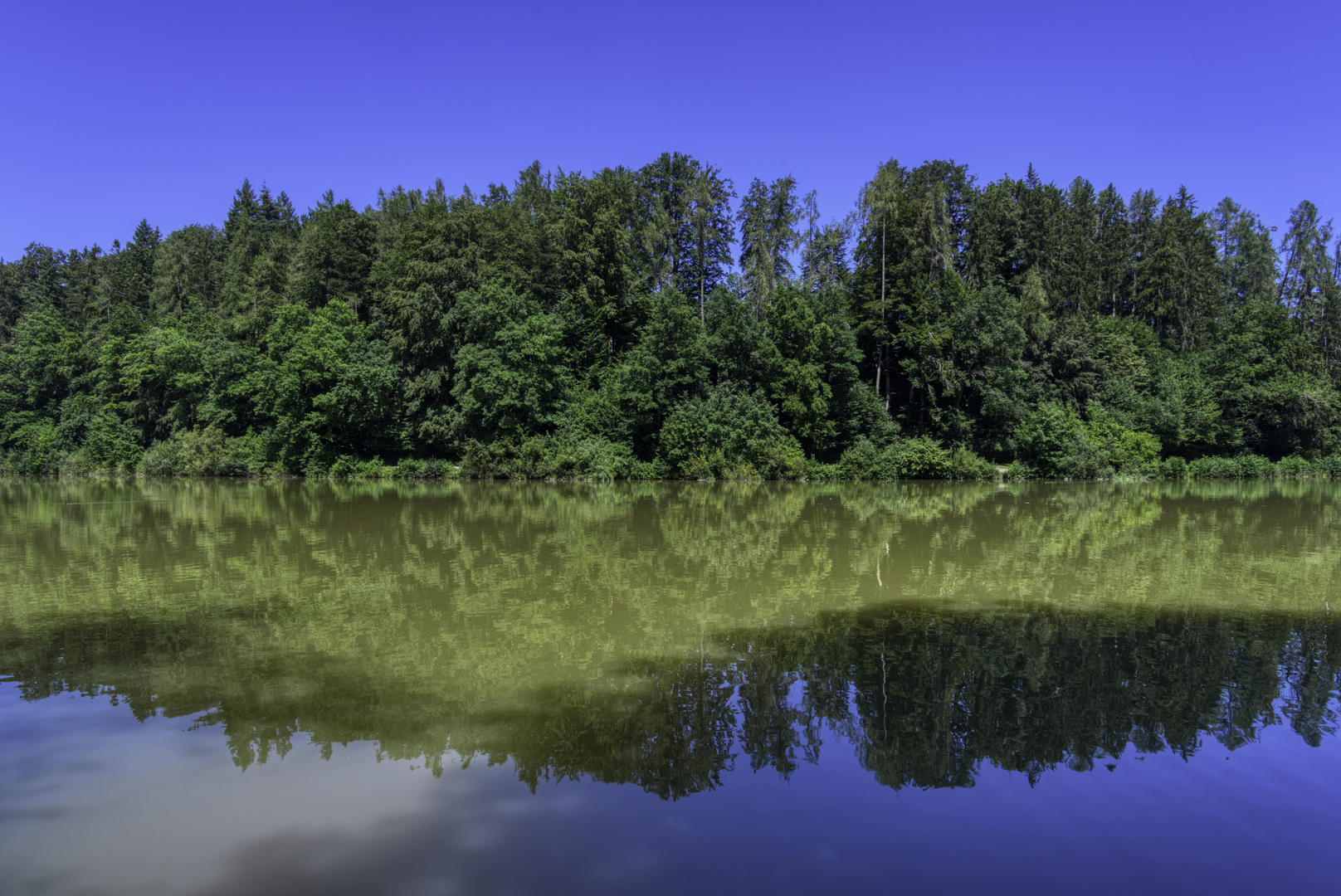 Gespiegeltes am Gübsenweiher