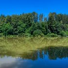 Gespiegeltes am Gübsenweiher