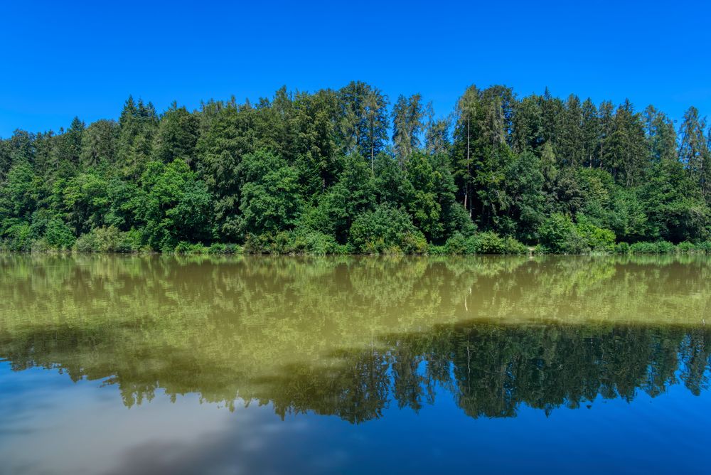 Gespiegeltes am Gübsenweiher