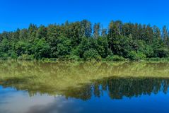 Gespiegeltes am Gübsenweiher