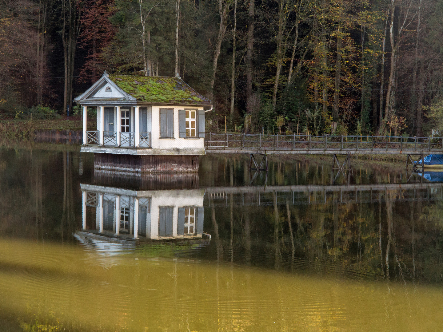 Gespiegeltes auf demWasser