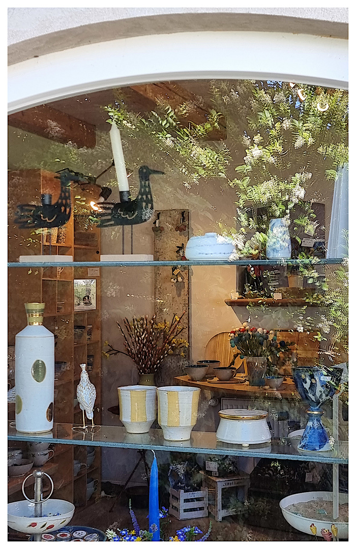 Gespiegeltes Grün im Schaufenster