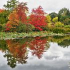 Gespiegeltes Herbstlaub