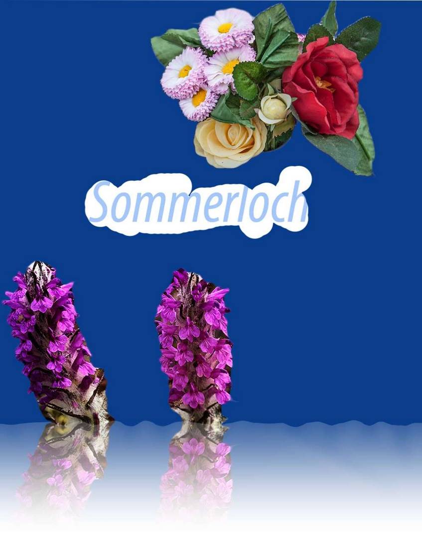 gespiegeltes Sommerloch