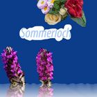 gespiegeltes Sommerloch