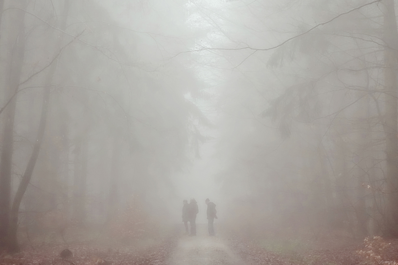 Gespräch im Nebel