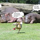 Gespräch im Zoo