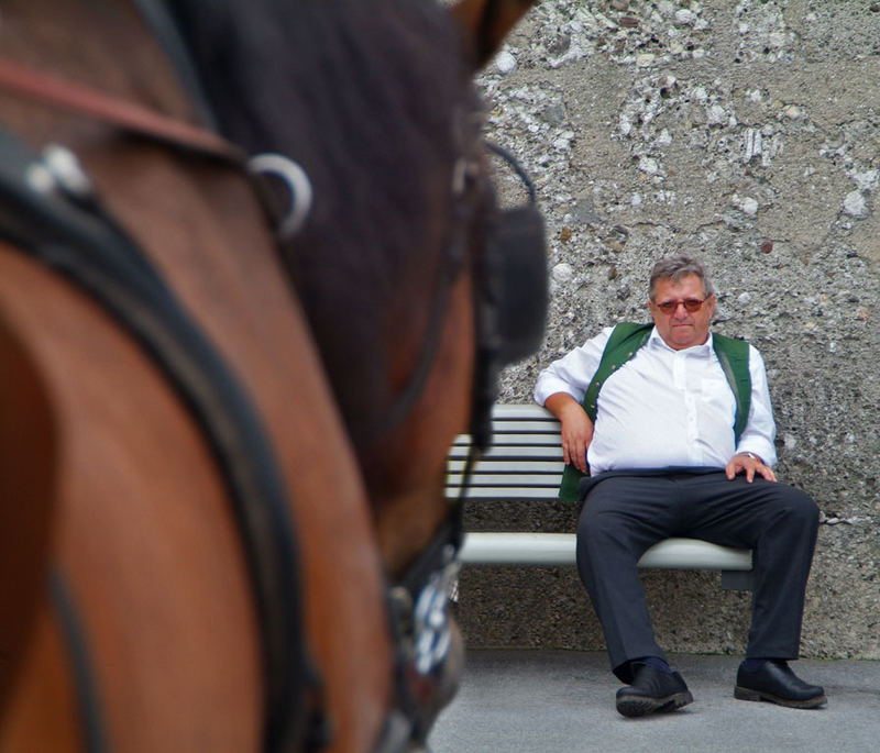 Gespräch mit seinem Pferd