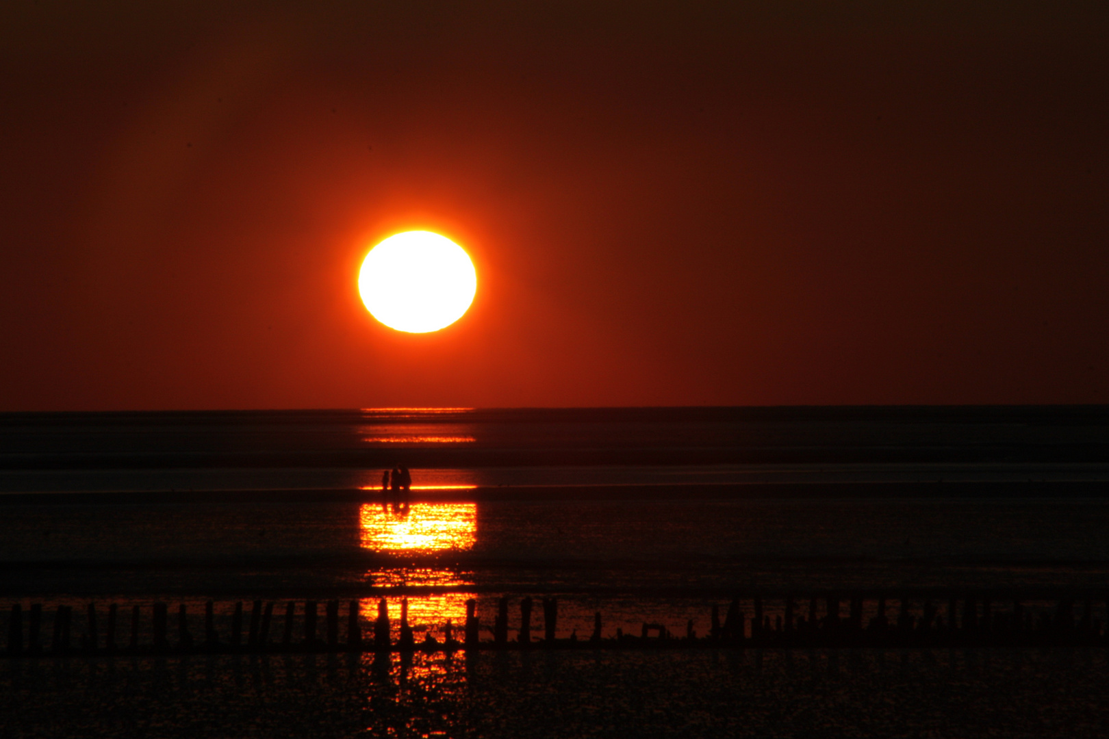 Gespräche im Watt bei Sonnenuntergang