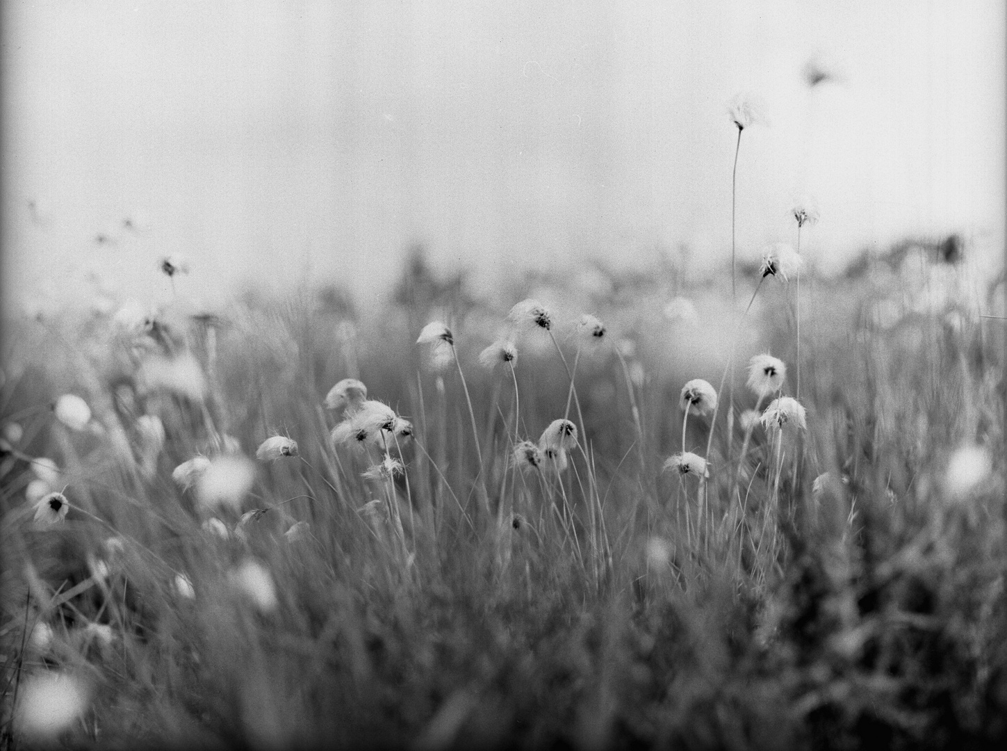 Gespräche im Wind