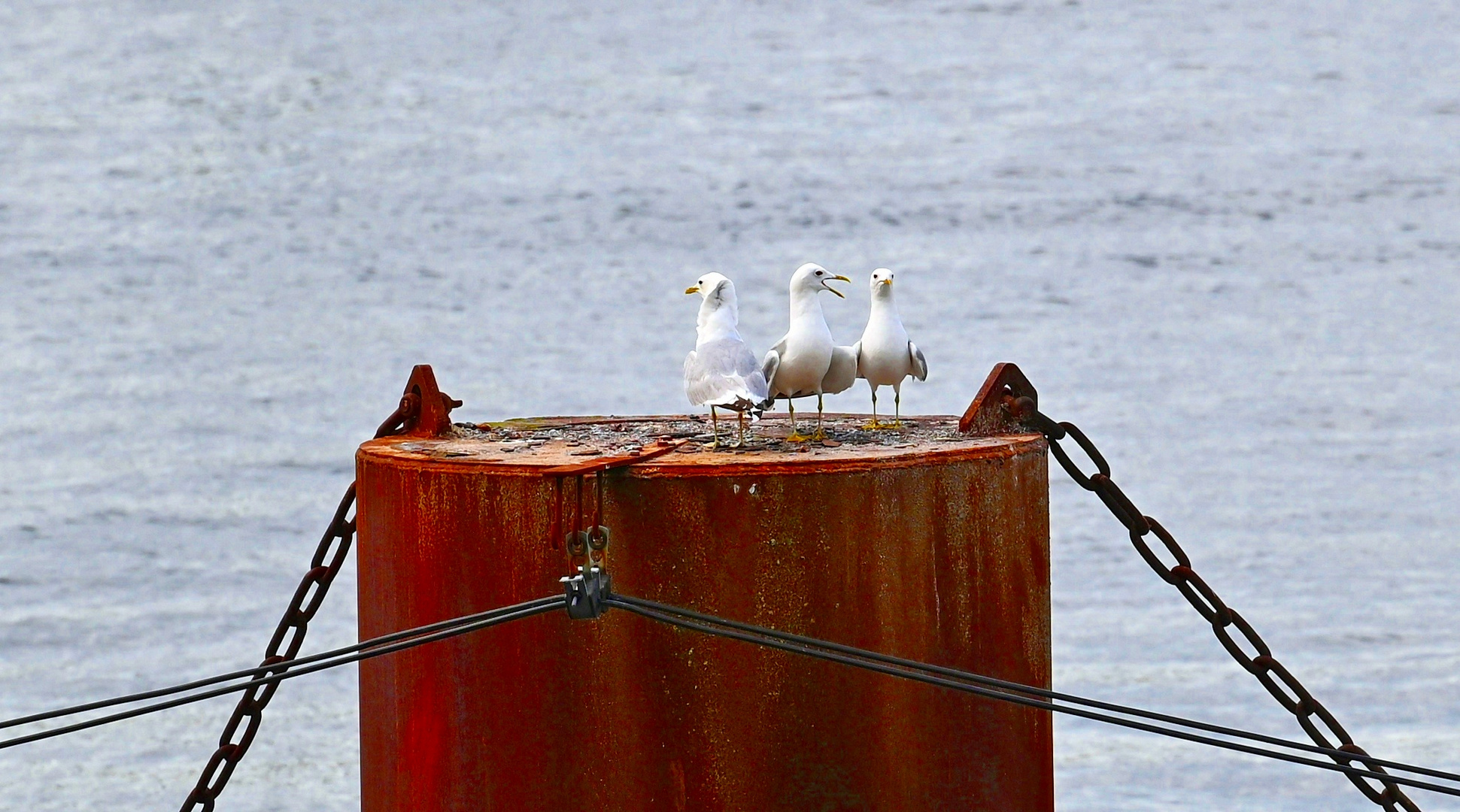 Gesprächsrunde an der Schleuse...