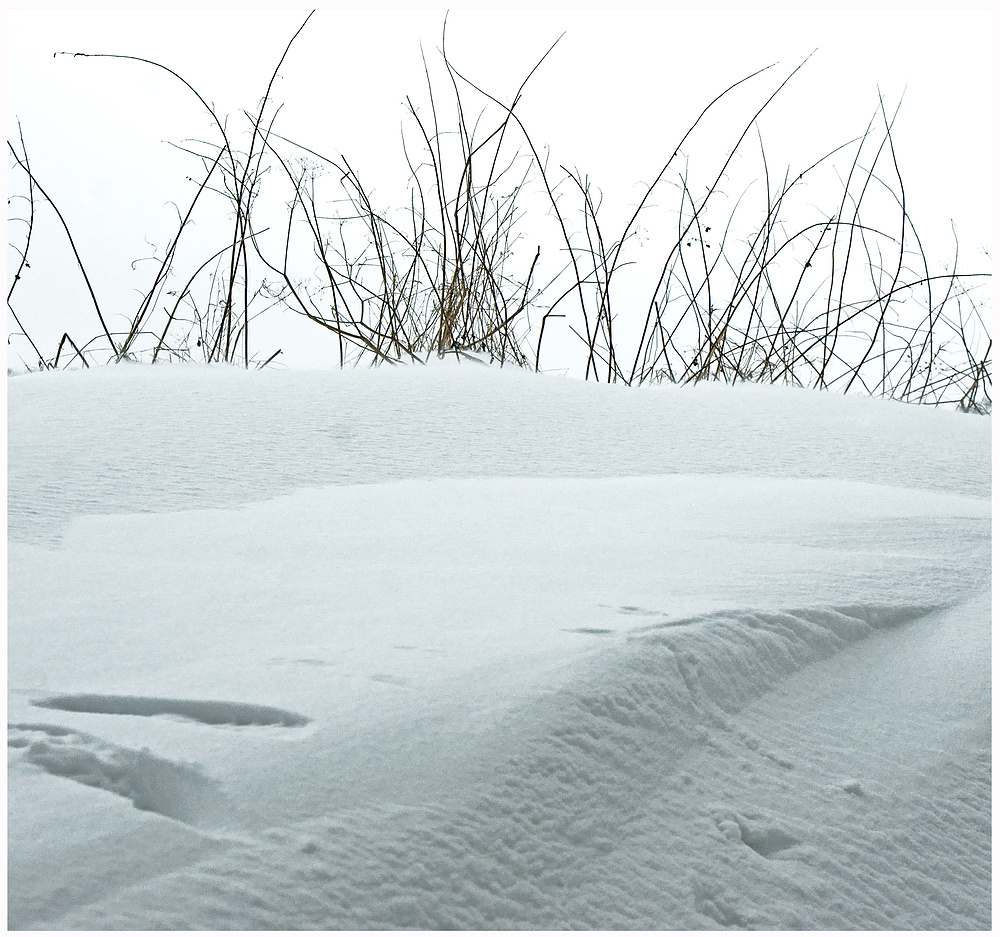 ...Gespür für Schnee