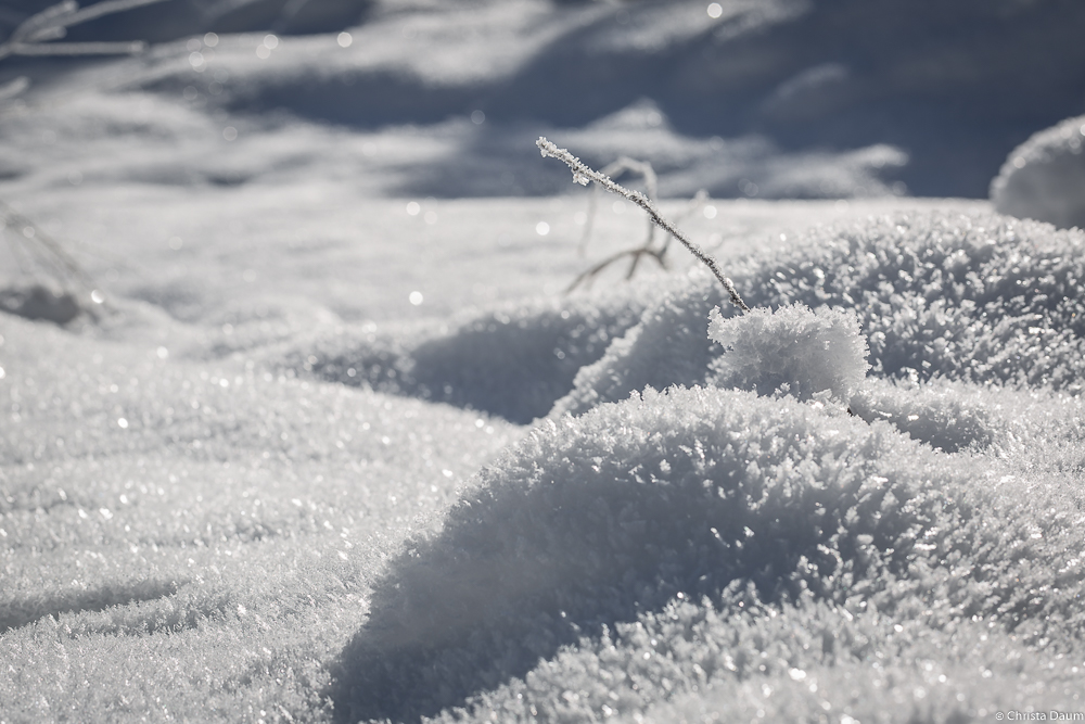 Gespür für Schnee