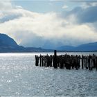 Gestade am Torres del Paine....................