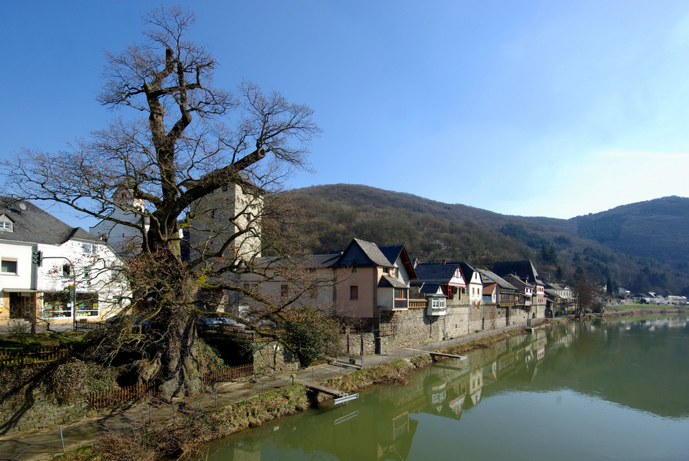 Gestade von Dausenau / Lahn mit der 1000jährigen Eiche