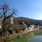 Gestade von Dausenau / Lahn mit der 1000jährigen Eiche