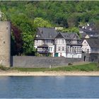 Gestade von Rhens am Rhein