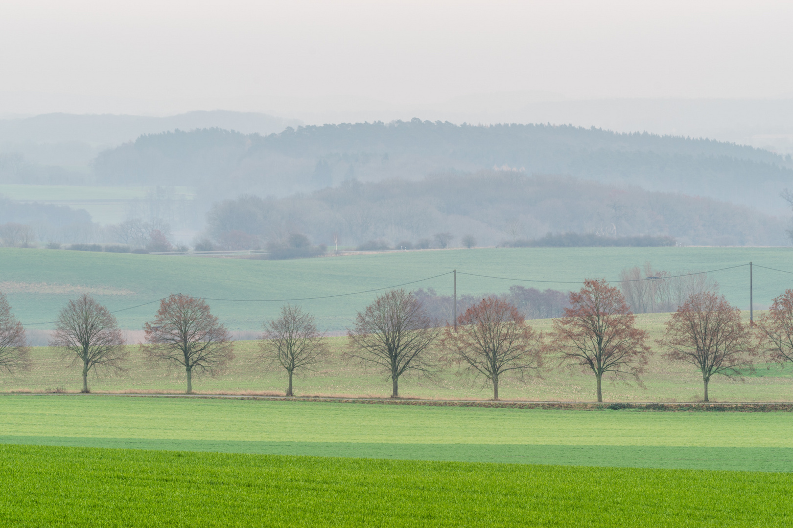 Gestaffelte Landschaft