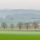 Gestaffelte Landschaft