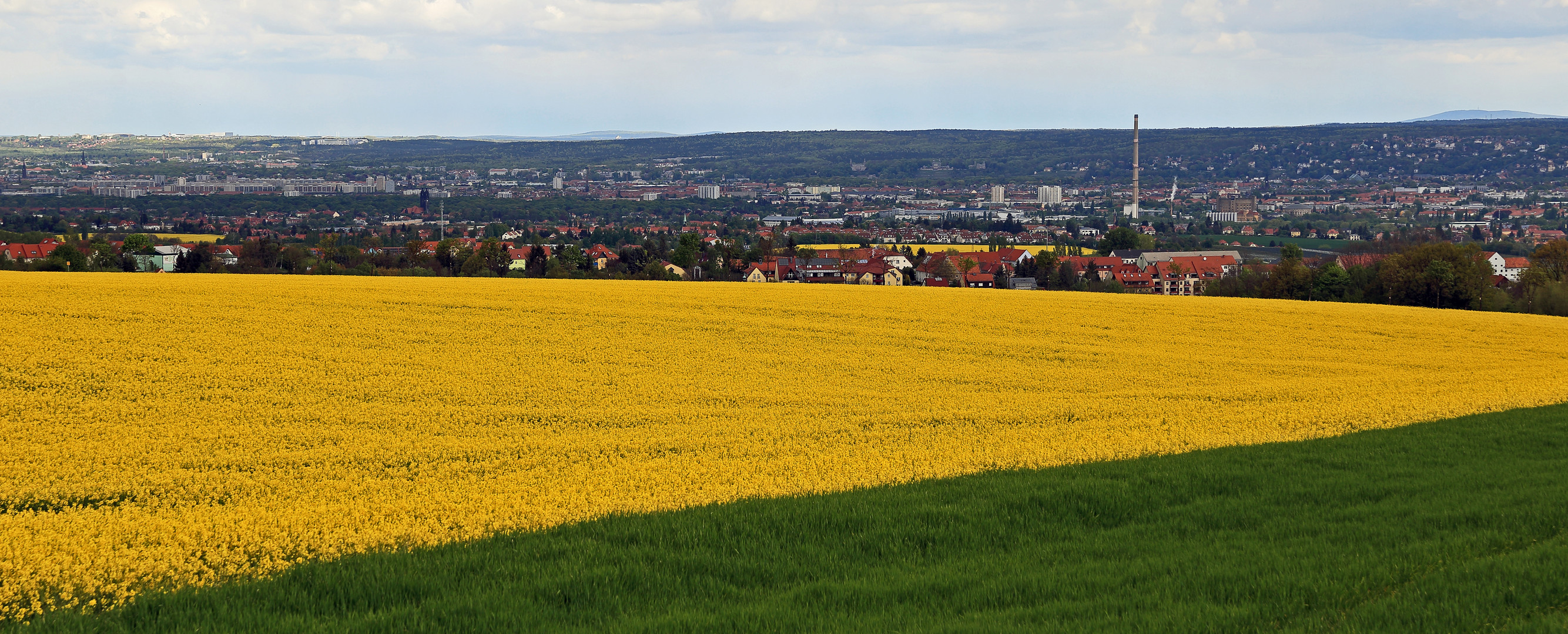 Gestaffelter Dresdenblick im Mai...