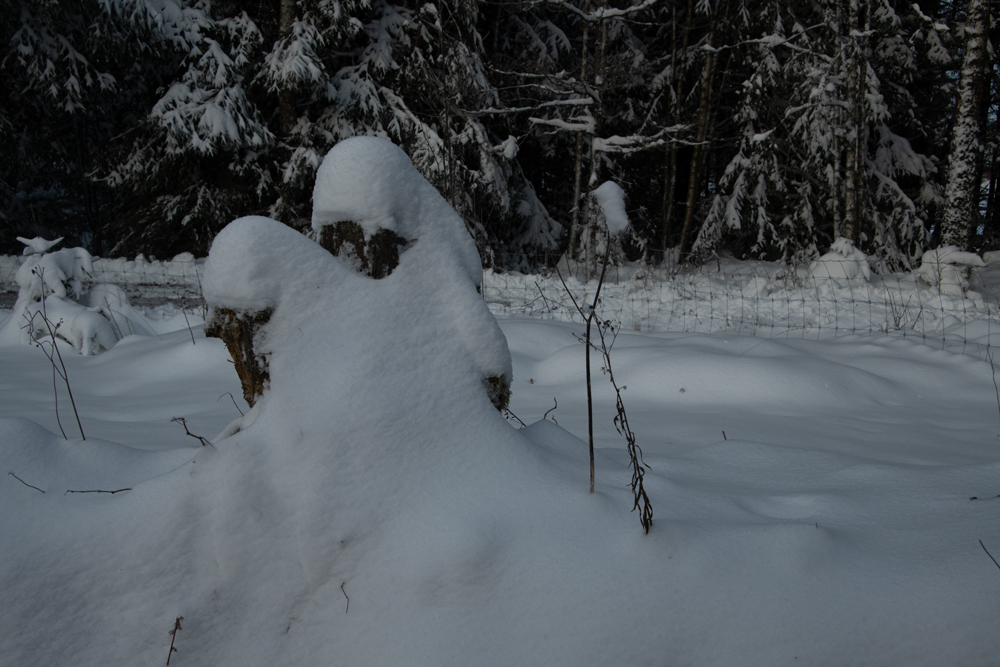 Gestalten im Schnee