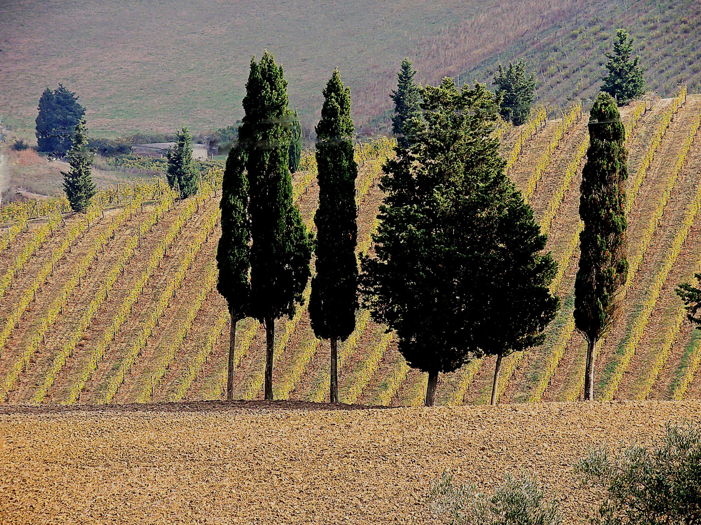 Gestaltete Landschaft