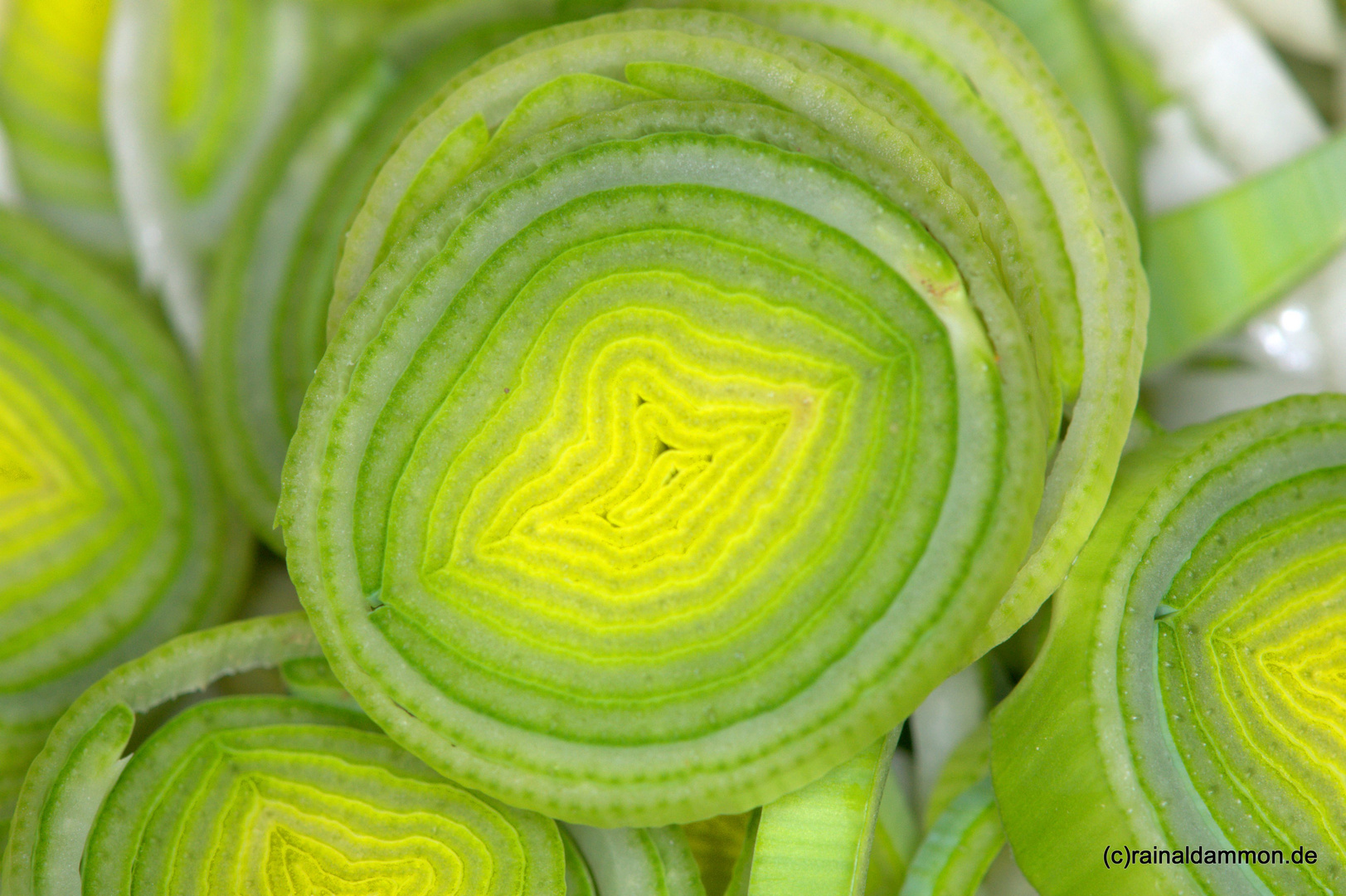 Gestaltungskunst der Natur