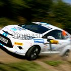 Gestatten, Fisher, Alastair Fisher, Brite und Rallyepilot mit Schwung