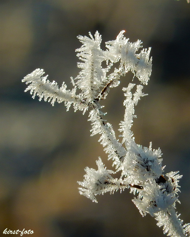 gestatten-Frost-mein-Name