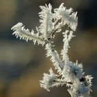 gestatten-Frost-mein-Name