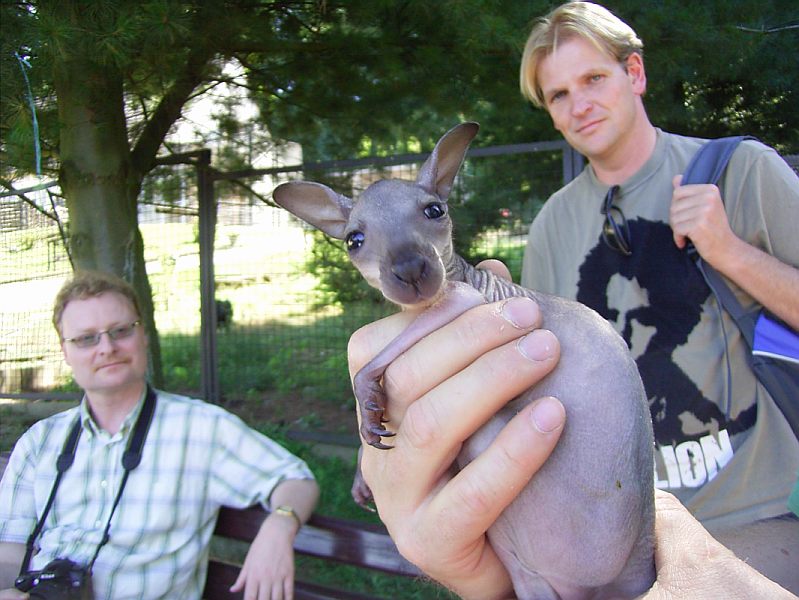 Gestatten .. Gunther beim Fototermin, Beutelloses Findelkind