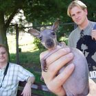 Gestatten .. Gunther beim Fototermin, Beutelloses Findelkind