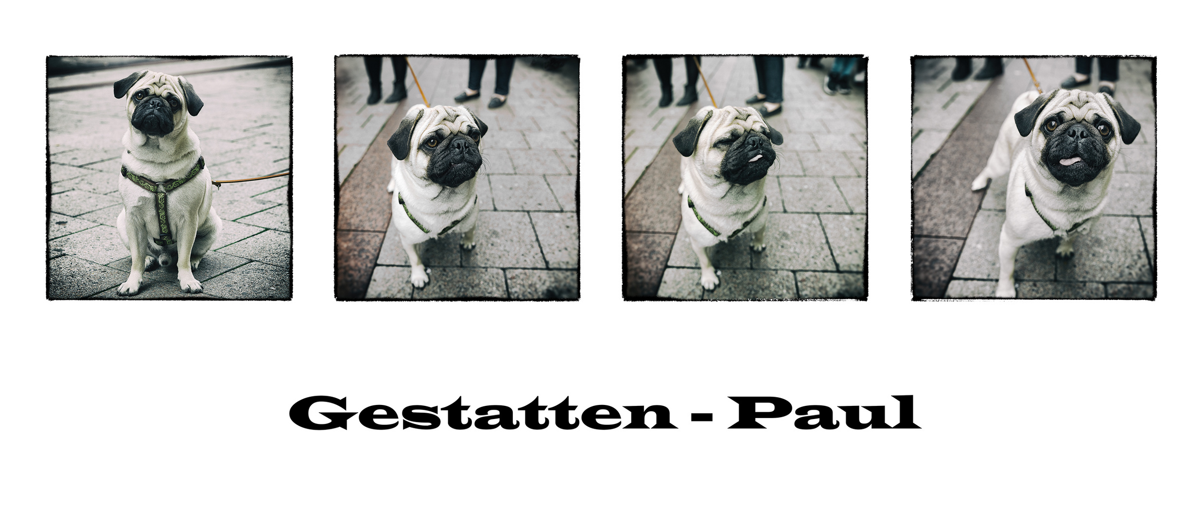 Gestatten - Paul