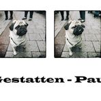 Gestatten - Paul